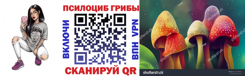 Галлюциногенные грибы GOLDEN TEACHER  OMG tor  Хилок 
